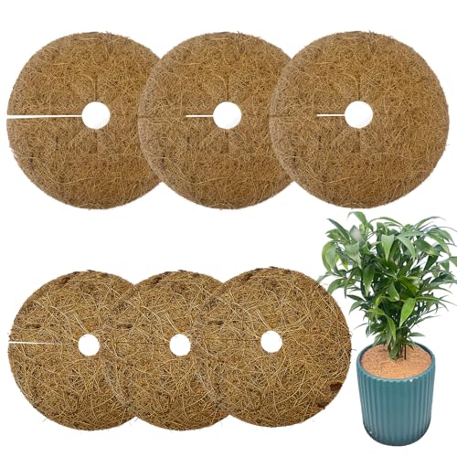 Jiehaojia 6Pcs Coconut Mats,Coconut Plant Protection,Winter Protection,Coconut Disc for Plants, Sustainable Plant Protection,Frost Protection,Cold Protection,Diameter 15cm/20cm
