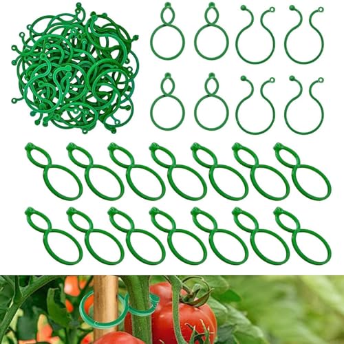200 clips para plantas, pinzas para plantas trepadoras, clips de fijación para plantas, pinzas pequeñas, anillos para plantas, clips de soporte para plantas, clips de jardín, pinzas para flores