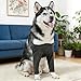 Dog Leg Sleeves After Surgery XXXL, Breathable Dog Recovery Suit for Front Legs, 9.4 in Elbow Braces for Dogs, Soft and Protective