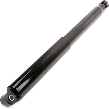 ROADFAR Complete Struts Assembly w/Spring for 2009-2012 for Ford for F-150