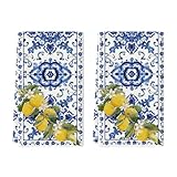 Artoid Mode Blue Lemon Porcelain Summer Kitchen Towels Dish Towels, 18x26 Inch Farmhouse Decoration Cleaning Set of 2