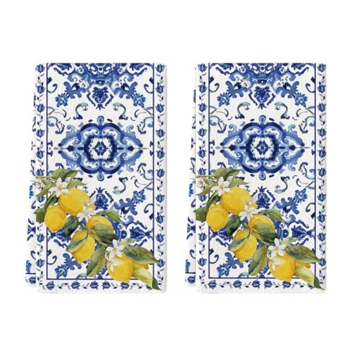 Artoid Mode Blue Lemon Porcelain Summer Kitchen Towels Dish Towels, 18x26 Inch Farmhouse Decoration Cleaning Set of 2