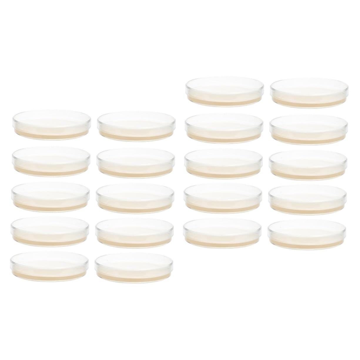 20 Pièces Boîtes De Pétri Pré-Coulées Avec Agar Pour Expérimentation Scientifique Stem 2.76X2.76X0.79In Plaques De Gélose Nutritive Pour École Et Laboratoire