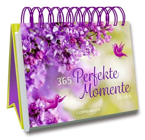 Preisvergleich Produktbild 365 Perfekte Momente für dich: Aufstellbuch