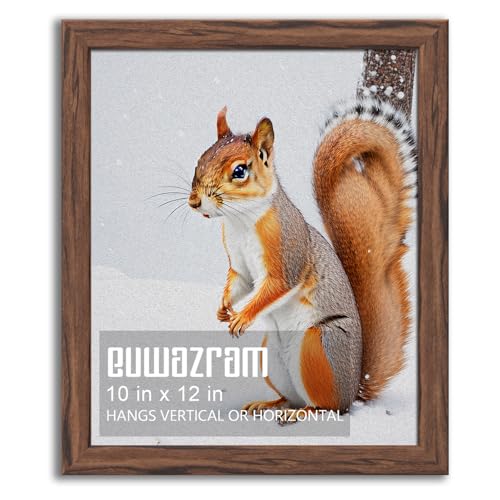 euwazram Rustic Walnut 10x12 Frame - Single Frame, 10 x 12 Poster Frame for Artwork, Puzzles, Photos and Movie Posters Picture Frames