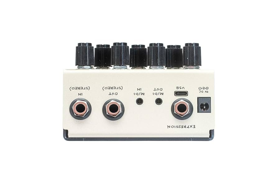 レア/最初期 Old Blood Noise Endeavorsオイル缶ディレイ Old Blood Noise Endeavorsより、「オイル缶ディレイ」再現