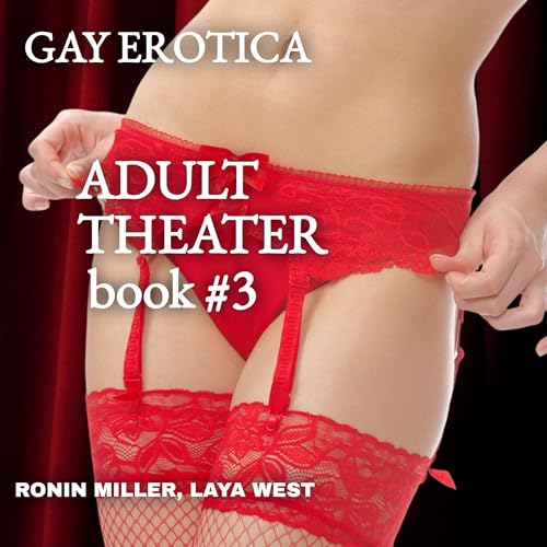 Page de couverture de GAY PANTIES, Book 3: ADULT THEATER