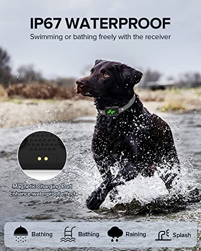 Dog Training Collar, Ycoev Dog Shock Collar With Remote, Ip67 Waterproof Shock Collar For Large Medium Small Dogs Electric Dog Collar With 4 Modes Beep, Vibration, Shock, Dog Finder #TOP5