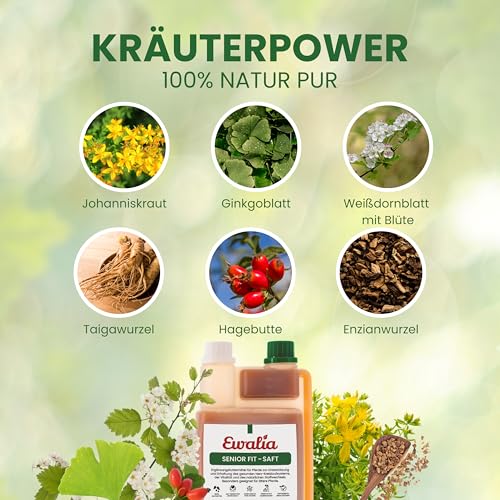 EWALIA Senior Fit - Saft | 1 l | Ergänzungsfuttermittel für Pferde | Mit Ginkgo & Weißdorn