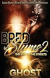 Bred by the Slums 2: The Key to the Streets