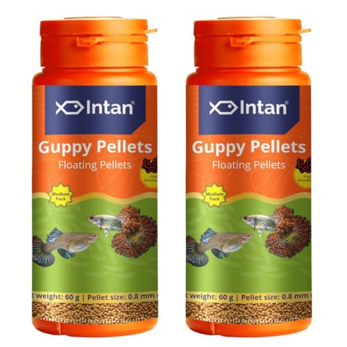 Image of Fisherman'S Intan Guppy Fish Food | Floating Pellet for Health and Growth | Pallets for All Guppies, Medium Pack 60 Gram, Pellet Size 0.8 mm Dia, Pack of 2