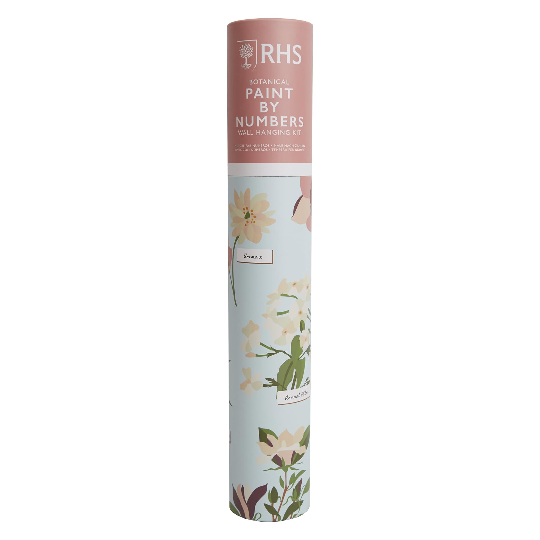 Royal Horticultural Society Paint By Numbers Kit - Botanical - 400 x 500mm