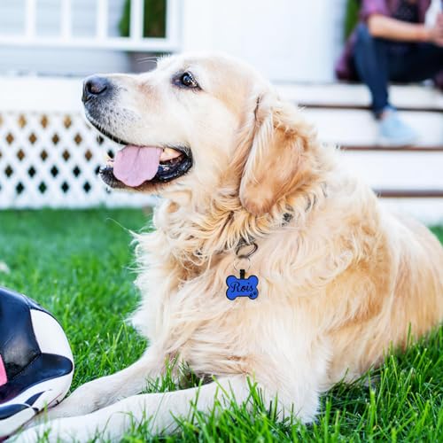 YEHANTI Hundemarke mit Gravur, Leise Silikon Hundemarke Personalisiert mit Name, Telefonnummer und Adresse Graviert für Hunde Katzen, Leicht und wasserdicht, Musterdesigns am Symbole, Knochen
