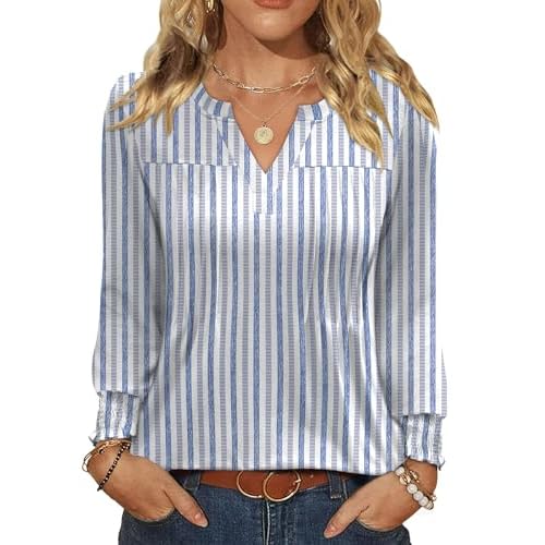 Ivicoer Long Sleeve Shirts for Women V Neck Pleated Blouses for Women Dressy Casual Fall Ladies Top 2025