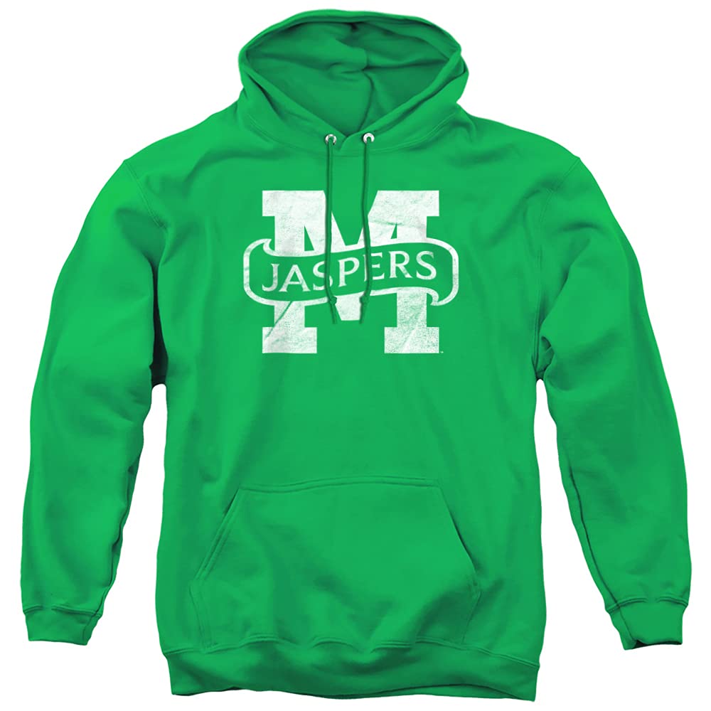 LOGOVISION Official Collegiate Distressed Primary Logo Adult Pullover Hoodie Collection — view 73