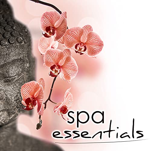 Spa Essentials Best Spa Music Collection of Relaxing Soothing Sounds