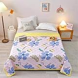 Colcha de Verano Colcha Acolchada para Cama, Chickwin Multiu