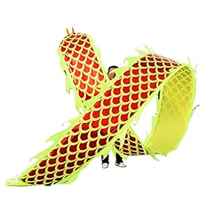 Wasbare Zijden Draak Poi Voor Kinderen & Volwassenen Fitness Sport Linten，6/8/10/12m Extra Lange Artistieke Gooi…