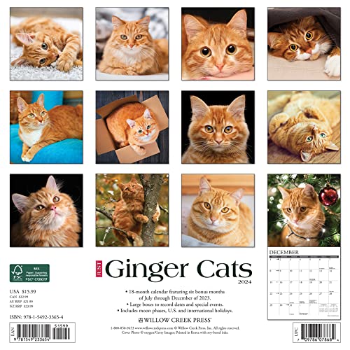 Just Ginger Cats 2024 12 X 12 Wall Calendar