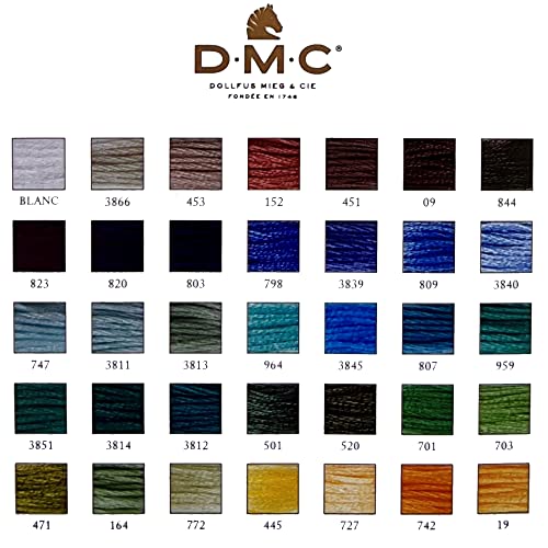 DMC Embroidery Floss, 35 Colors Scenic, DMC Cotton Embroidery Thread Assortment Pack Bundle with Hand Needles Size 5. Cross Stitch Supplies,Yarn Set, Premium String, Threads Kit
