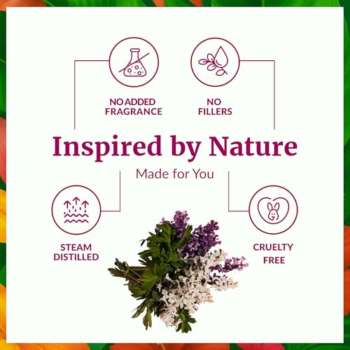Image of SVA Clary Sage Essential Oil Organic - 1 /3 Fl Oz - 100% Natural Organic Clary Sage Oil - for Diffuser, Hair Care, Face, Skin Care, Aromatherapy, Scalp and Body Massage, Soap and Candle Making