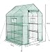 YOUKE Invernadero Portátil, Ideal para Jardín, Balcón, Patio etc, (143 x 143...