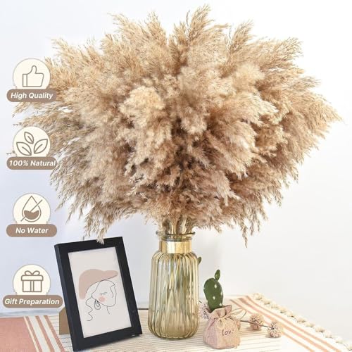 Ramo de hierba de pampas seca natural marrón, 46 pcs miniatura 3