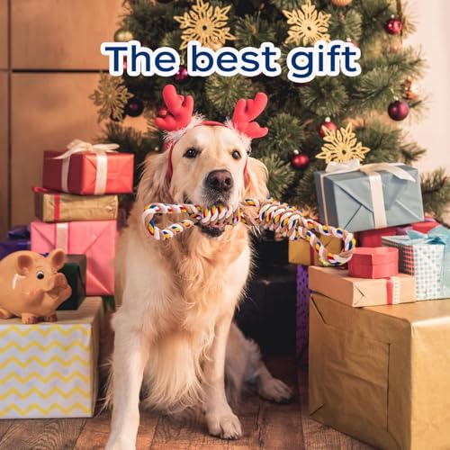 7WUNDERBAR Hund Seil Kauspielzeug Set - 2 Stück Spielzeug 55cm aus Baumwollseil, 3 Knoten Tau Zerrspielzeug Unzerstörbar für Mittlere und Kleine Hunde