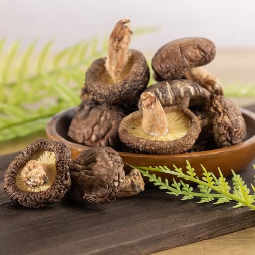 津久見産原木どんこ椎茸 50g×6袋