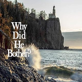 Why Did He Bother? Audiolibro Por Allen A. Bujno arte de portada