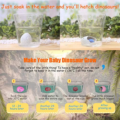 Preescolar, Toy Imagen adicional