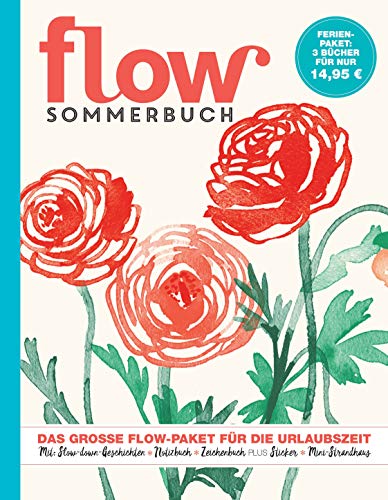 Preisvergleich Produktbild Flow Ferienbuch Band 7