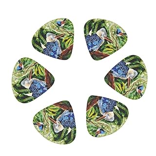 Pack de 12 médiators en chêne pour guitare électrique Guitare acoustique Diverses guitares - Les Beatles, Paul McCartney, John Lennon, RIngo Starr, George Harrison