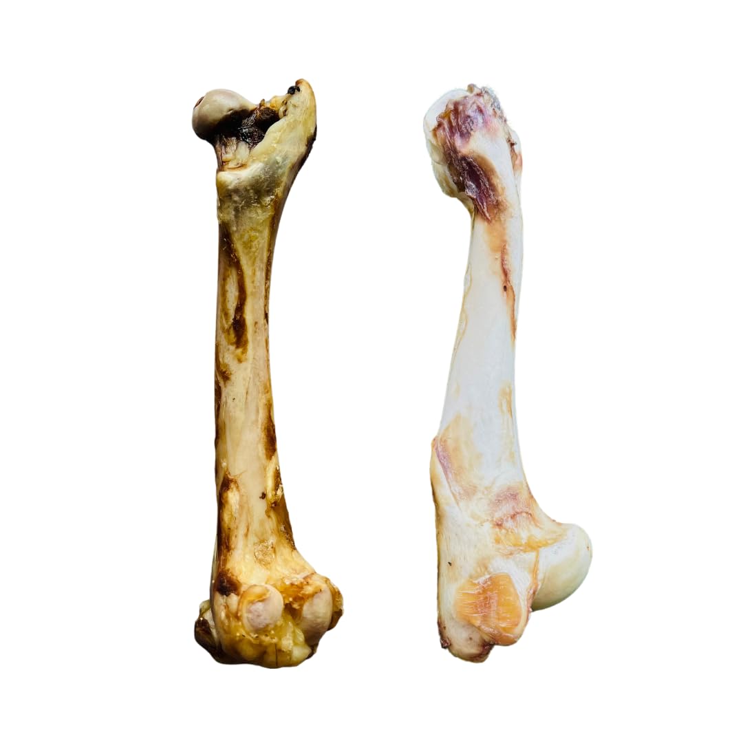 FloofYou Goat Bone Long Chew Dehydrated Natural Healthy Dog Treat with Goat Bone Small Chew Dehydrated Natural Healthy Dog Treat Combo (B0D3B4GR5Y) Amazon Price History, Amazon Price Tracker