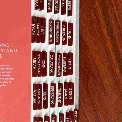 View 5