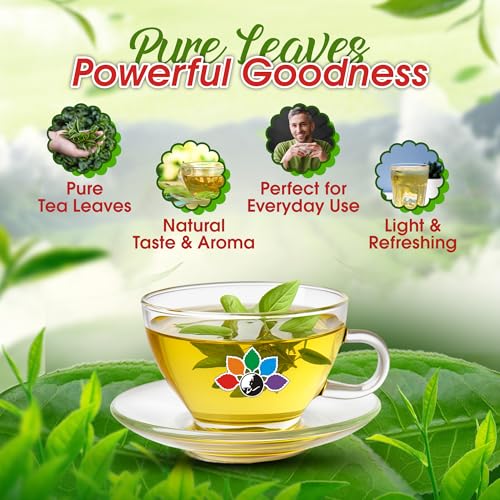 Image of C Somabhai Plain Green Tea 100g | Pure & Natural Loose Leaf Green Tea | Rich in Antioxidants | Supports Weight Management | Calming Herbal Drink | Zero Sugar Daily Wellness | Refreshing Taste