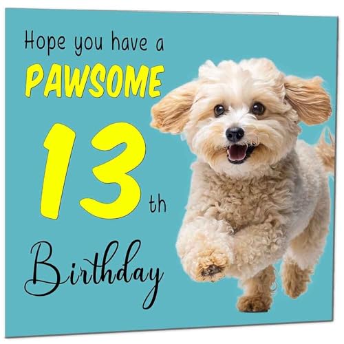 13th Birthday Card for Men Women Dog Pawsome Birthday Card for 13 Year old teenage Girl Daughter Granddaughter Kids thirteen, thirteenth Sister cousin Niece