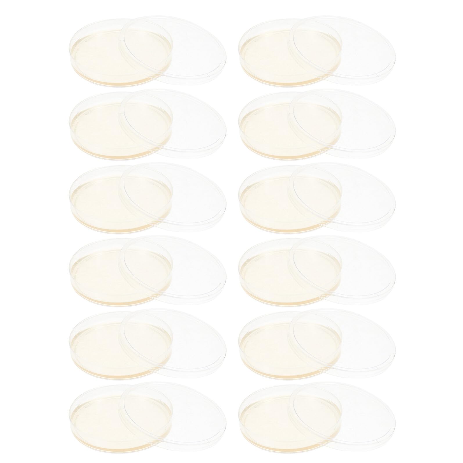 Alipis Placas de Petri de 9cm 20 de Agar Nutritivo Estériles Redondas Tapas Ajustadas y Cultivo Celular para Experimentos Científicos en Laboratorio