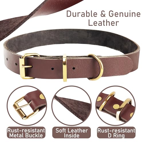 1,5 Meter Premium Leder Hundeleine und Halsband Set für stilvolle Hunde, weiches Lederhalsband und Starke doppelt geflochtene Leine, bequemes und sicheres Hundetraining, Spielen (Groß)