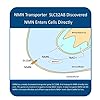 M MAAC10 1000mg Nutritional Supplement Capsule with NMN Nicotinamide Mononucleotide NAD+ Supplement, Stabilized Form…