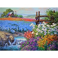 Meecaa Pittura con numeri Colosseo Roma Kit da costruzione per adulti, per principianti, pittura a olio fai da te, 40,6 x 50,8 cm (Colosseo, senza cornice