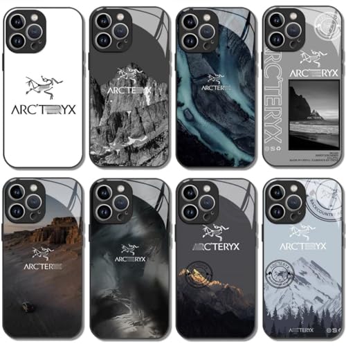 アークテリクスゴーグルケースpowder face case arc'teryx Arc