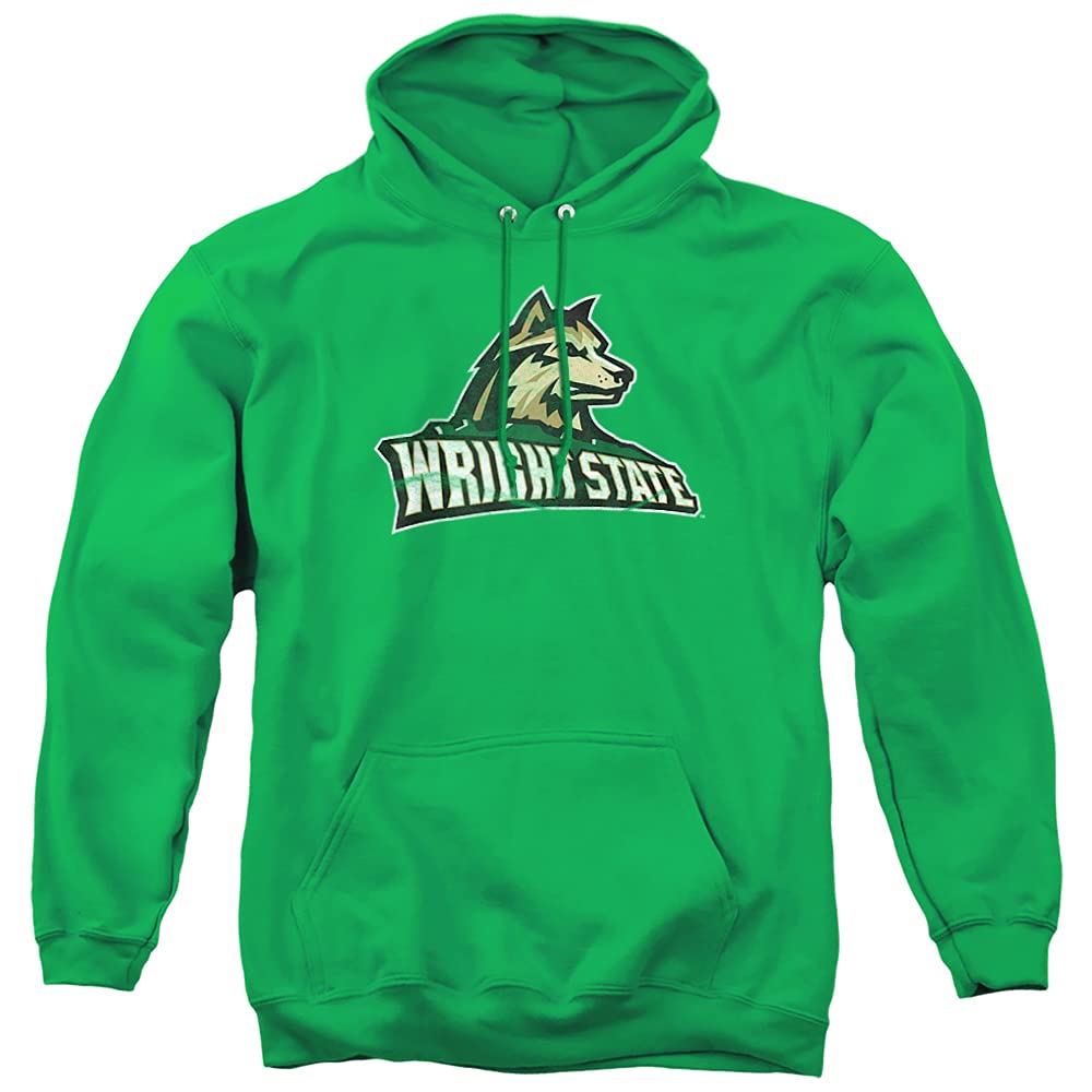 LOGOVISION Official Collegiate Distressed Primary Logo Adult Pullover Hoodie Collection — view 265