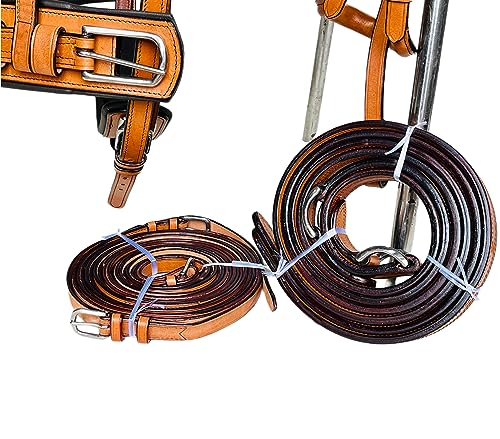 AMAZING HORSE STUFF Exclusive 3 Tone Leather Horse Driving Harness for Single Horse Cart with Designer Conchos All Over The Harness | Stainless Steel Hardware | (Mini, Natural/Brown/Turquoise Blue)