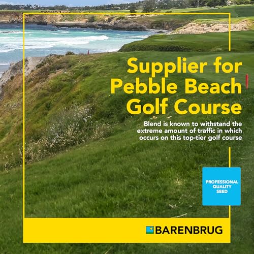 Grass Seed Blends For Sandy Soil And Beach Properties