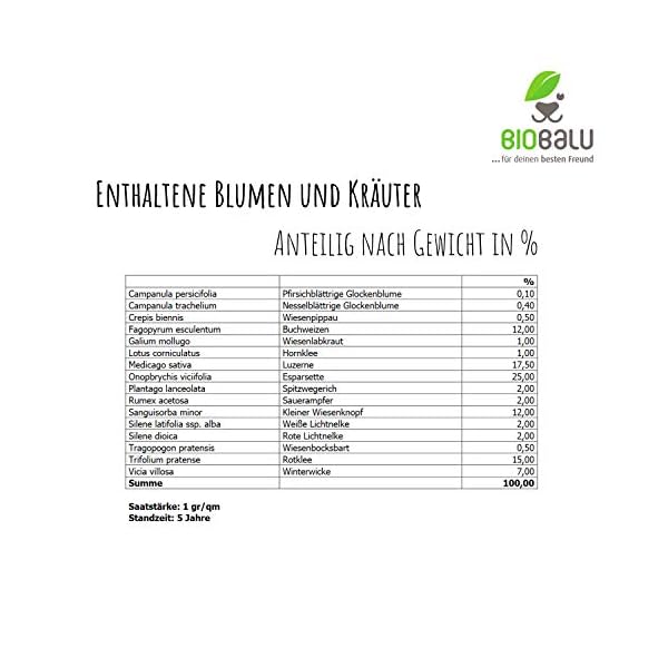 Biobalu Öko Blumenmischung Bienenweide speziell für den Halbschatten- und Schattenbereich + für bis zu 50 qm, mehrjährig… – Bild 6