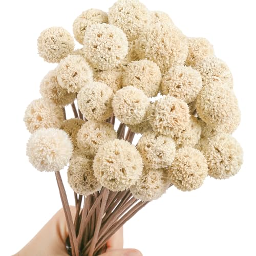 Best White Vases for Dried Flowers Top 5 Picks Counter Current Festival