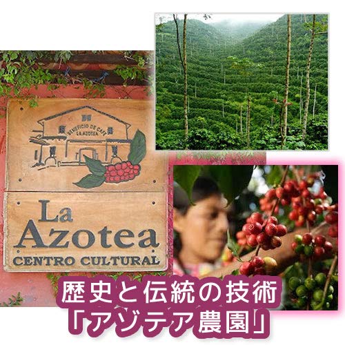 銀河コーヒー グアテマラ アンティグア 粉150g