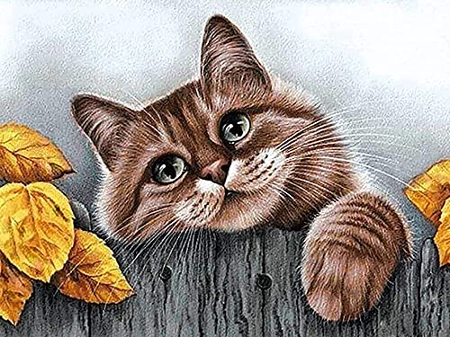Jantabo 5D Diamond Painting Strass Complet Chat, Broderie Diamant Peinture Kits Complète Animal, Craft pour Accueil Cadre Home Decoration Murale Salon Chambre Décoration 30x40cm A24 Cover