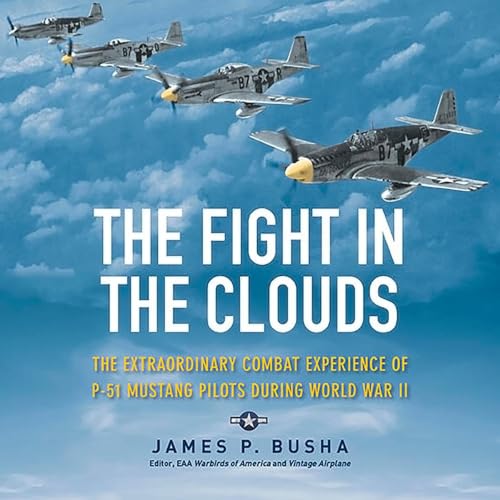 The Fight in the Clouds cover art